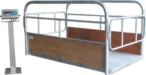 CH Model Livestock Weighing Scales